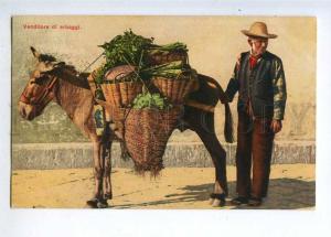 232932 ITALY seller of herbs DONKEY Vintage postcard