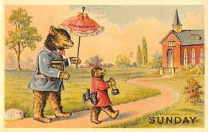 Reproduction Bear postal used unknown 