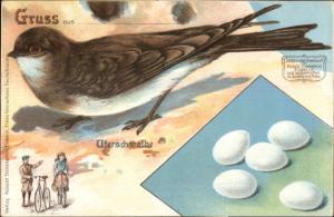 German Bicycle Advert Bird & Eggs Beautiful Art August Stukenbrok Einbeck PC