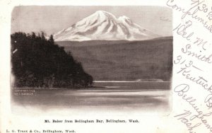 Vintage Postcard 1905 Mount Baker From Bellingham Bay Bellingham Washington
