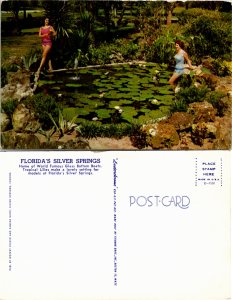 Silver Springs, Florida (26059