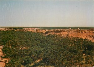 Tunisia nefta l'oasis Postcard