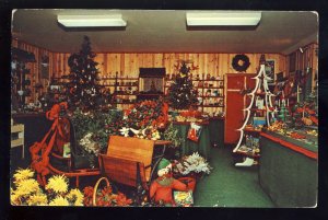 North Eastham, Massachusetts/Mass/MA Postcard, Christmas In The Grove, Cape Cod