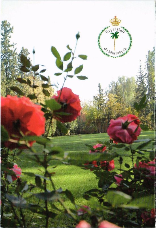 PC GOLF, ROYAL GOLF DE MARRAKECH, Modern Postcard (b45497)