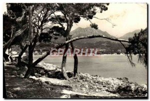 Postcard Modern Pinede and rocks of Cap Martin