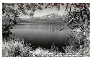 RPPC Frasher Foto A Glimpse Through the Forest Of Mt. Tallac Lake Tahoe CA-NV