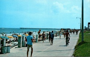 Virginia Virginia Beach Boardwalk Scene