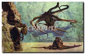 Old Postcard Aquarium Monaco Cliche Property exclusive Trabut Oceanographic M...