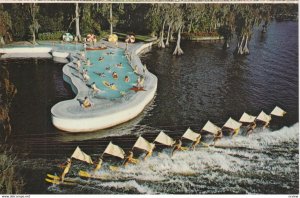 Water-Skiing ; Cypress Gardens , Florida , 1950-60s