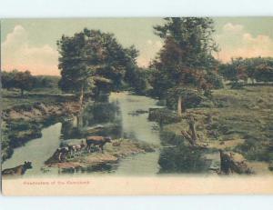 Pre-1907 NATURE SCENE Kennebunk Maine ME A1415