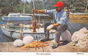 Bermuda Lobster 1959 