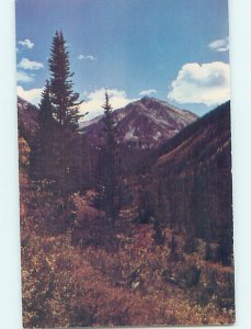 Pre-1980 NATURE Georgetown - Near Idaho Springs & Golden & Denver CO AD3838