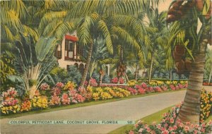 Cocanut Grove Florida Petticoat Lane #141 1943 Postcard Colorpicture 22-2417