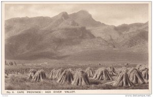 CAPE PROVINCE: Hex River Valley, South Africa, 10-20s