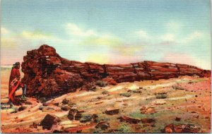 postcard Arizona - Petrified Forest - Nez by the Big Log