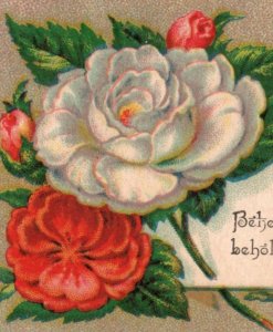 1870s Victorian Religious Trade Card Bible Quote Beautiful Flowers F136