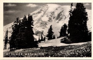 Washington Mount Rainier In Winter