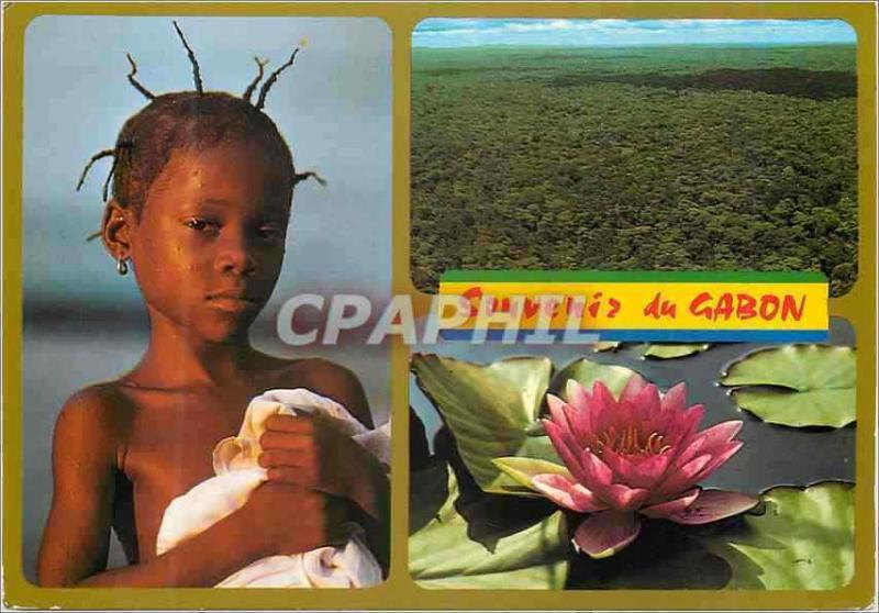 CPM souvenir du Gabon Baignade du Soir La forêt vue d'Avion Nenuphar