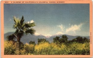 1930s CALIFORNIA GLIMPSE OF CALIFORNIA'S COLORFUL SCENERY LINEN POSTCARD 42-177