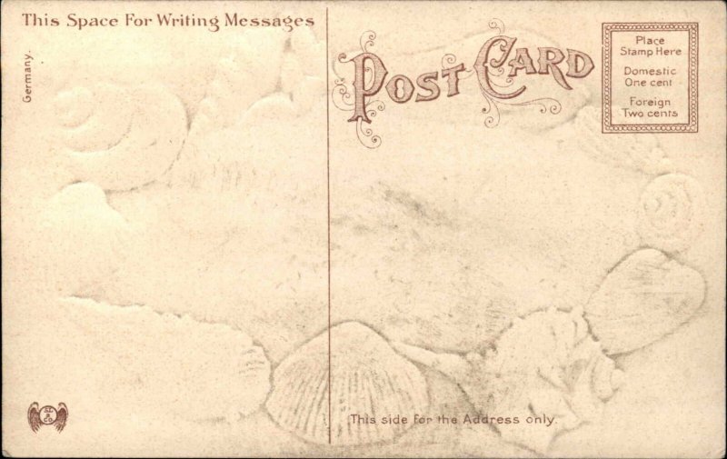 Newport Rhode Island RI Touro Park Seashell Border c1910 Vintage Postcard