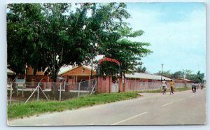 PARAMARIBO, Surinam ~ STREET SCENE Bikes Campground?  c1950s Dexter Postcard