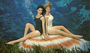 Postcard Mermaids Underwater at Weeki Wachee near Tampa, FL.        Q5