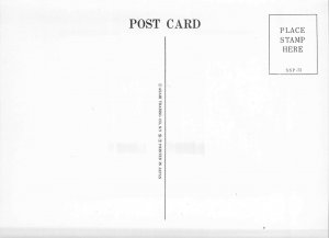 BUTTERFLY GARDEN ~ 3D LENTICULAR POSTCARD