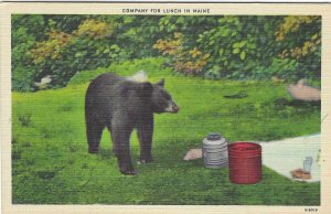 Vintage Linen, Bear, Company for Lunch in Maine