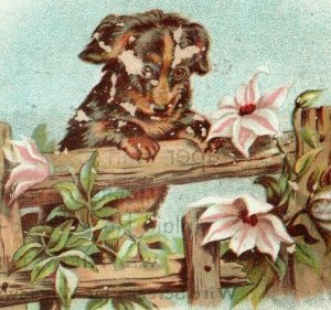 1880's Lincrusta-Walton J.L. Isaaca Wall Paper Co. Adorable Puppy Dog P201