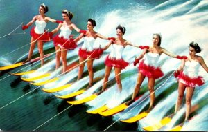 Florida Cypress Gardens Beautiful Waterskiing Aquamaids