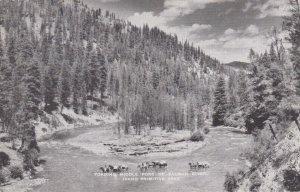 Idaho Fording Middle Fork Of Salmon River