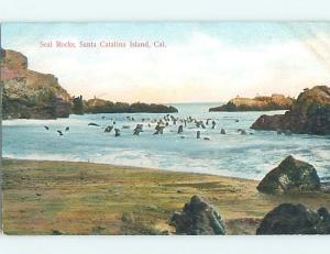 Divided-Back SEAL ROCKS Catalina Island - Los Angeles California CA HM6919