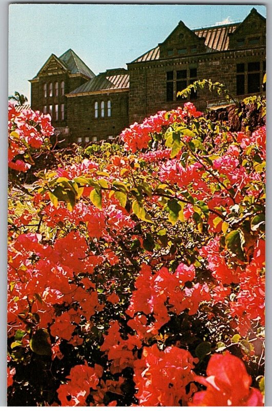 Bernice Pauahi Bishop Museum Beautiful Garden of Flowers Hawaii Postcard