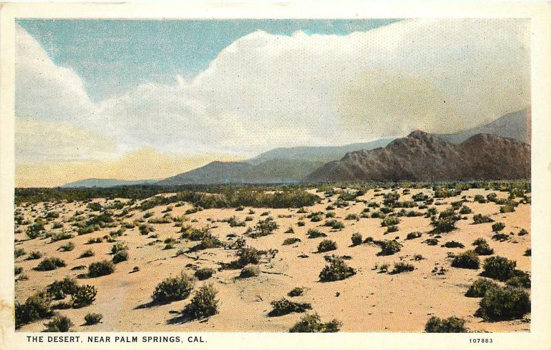 c1915-1930 Willard Postcard; Desert View near Palm Springs CA Unposted