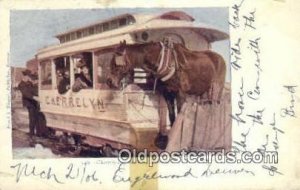 Cherreylun Horse CarDenver, CO, USA