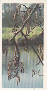 Brooke Bond Vintage Trade Card Woodland Wildlife 1980 No 16 Alder