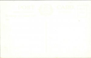 Changing Pastures Strath Tummel Pitlochry UK Postcard