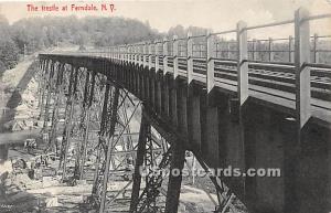 The Trestle Ferndale NY Unused