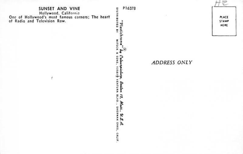 Sunset and Vine Hollywood  California Postcard