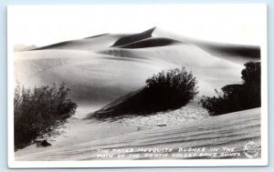 RPPC DEATH VALLEY, CA California ~ MESQUITE BUSHES ~ c1930s Frasher Postcard