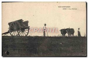 Old Postcard Folklore With the fields Oxen