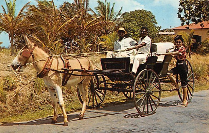 Old Donkey Drawn Buggy 1974 Barbados West Indies Unused 