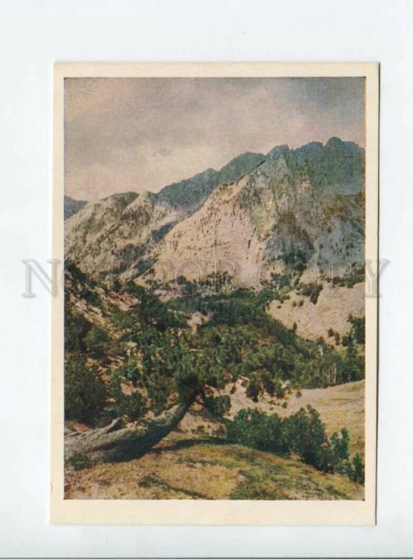 3111047 Republic of ALBANIA Landscape Old postcard
