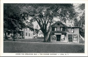 Postcard Under The Spreading Elm, The Corner Grocery in Lima, New York