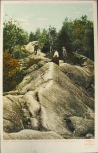 Adirondack Mts NY Det Pub c1910 Postcard