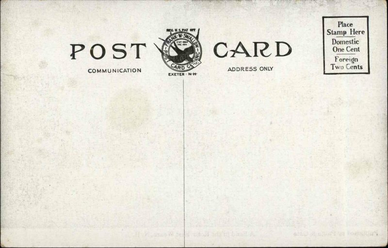 East Weare NH Road Scene c1910 Postcard