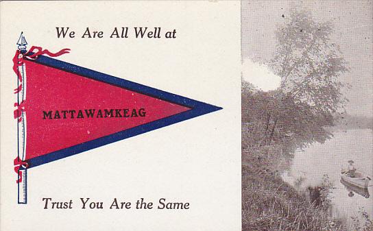 We Are All Well At Mattawamkeag Pennant Flag