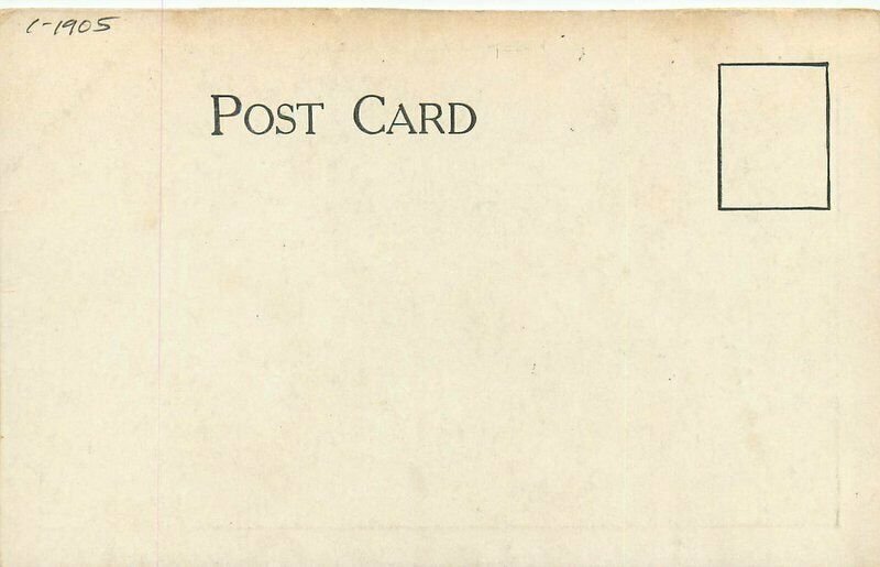 C-1905 Main Street North Side Le Roy New York undivided Postcard 20-11961