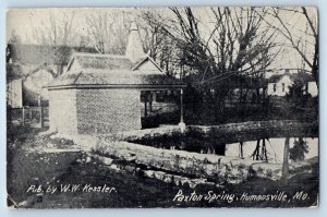 Humansville Missouri MO Postcard Paxton Spring Building Trees Pond 1909 Vintage