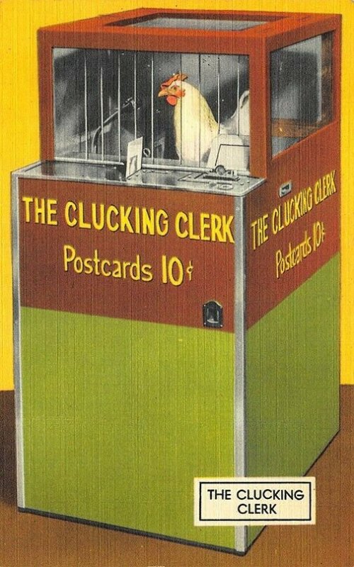 Hot Springs AK Performing Rooster Clucking for Postcards